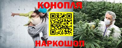 ECSTASY Кингисепп